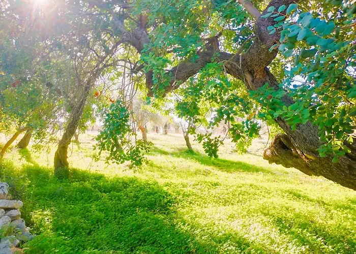 Agriturismo Terra Di Pace Noto